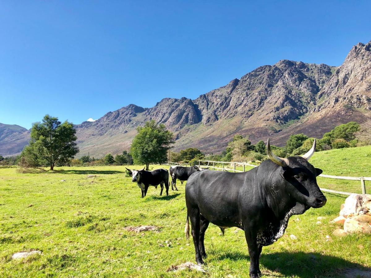 The Barn In Franschoek ξενώνας Franschhoek Εξωτερικό φωτογραφία